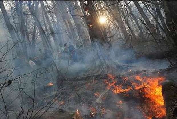 آتش سوزی در جنگل های ایلام/۳ هکتار جنگل در آتش سوخت
