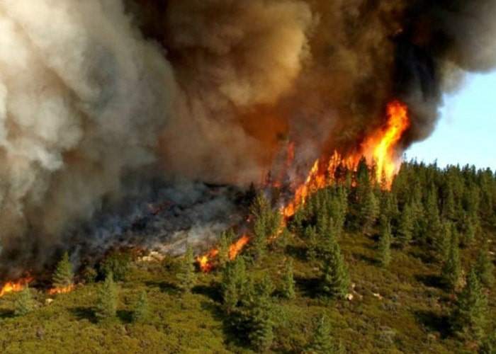 علت گسترش آتش در جنگل‌های ارسباران چه بود؟