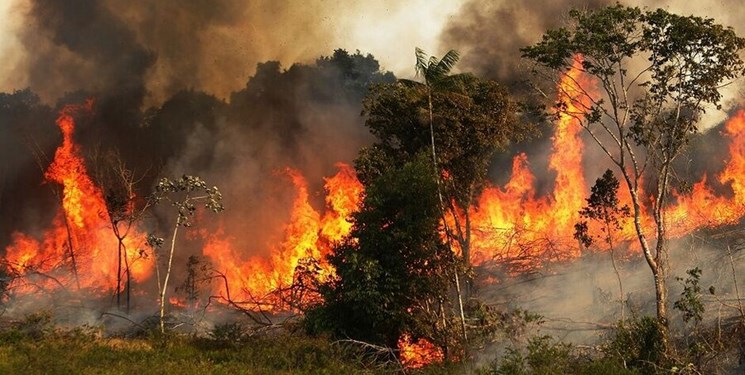 آتش سوزی در ارتفاعات کوه پهن گچساران